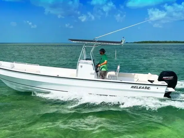 Panga Panga