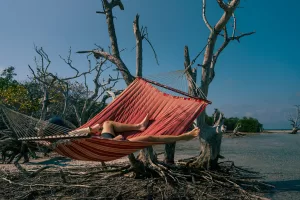 Hammock on Beach